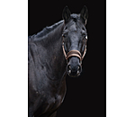 Headcollar Velvet
