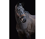Headcollar Velvet