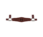 Teddy Headcollar