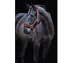 Teddy Headcollar