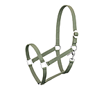 Headcollar Super Price