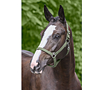 Headcollar Super Price