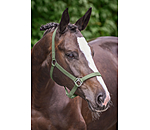 Headcollar Super Price