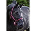 Headcollar Super Price