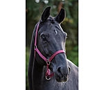 Headcollar Super Price