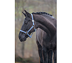 Headcollar Super Price