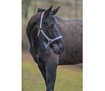 Headcollar Super Price