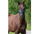 Headcollar Super Price