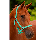 Headcollar Super Price