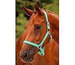 Headcollar Super Price