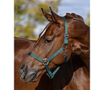 Headcollar Super Price