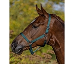 Headcollar Super Price