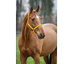 Headcollar Super Price