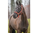 Headcollar Super Price