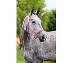 Headcollar Super Price