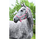 Headcollar Super Price