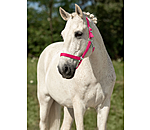 Headcollar Super Price