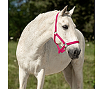 Headcollar Super Price