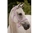 Headcollar Super Price