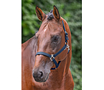 Headcollar Super Price