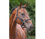 Headcollar Super Price