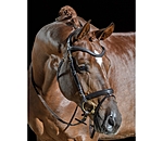 Flash Bridle Soft Comfort