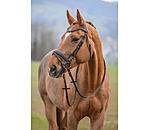 Bridle Beauty