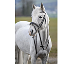 Bridle Beauty
