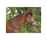 Sidepull Noseband