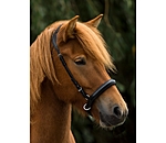 Sidepull Noseband