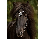 Browband Glitbr