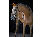 Flash Bridle Marley