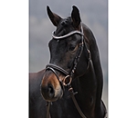 Flash Bridle Rosalinde