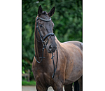 Flash Bridle Rosalinde