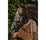 Flash Bridle Panama