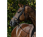 Flash Bridle Panama