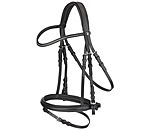 Flash Bridle Panama