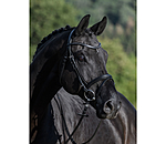 Flash Bridle Panama