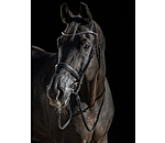 Bridle Mirissa with Detachable Flash Strap