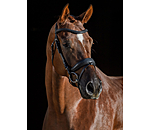 Flash Bridle Soft Comfort PRO