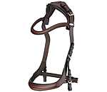Bridle Anatomical Vision Space
