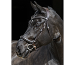 Bridle Gently Anatomical Innovation