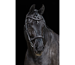 Bridle Gently Anatomical Innovation