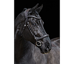Bridle Gently Anatomical Innovation