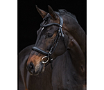 Bridle Gently Anatomical Innovation