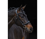 Bridle Gently Anatomical Innovation