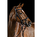 Bridle Laholm