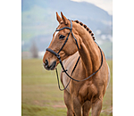 Bitless Bridle Gentle Connection
