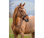 Bitless Bridle Gentle Connection