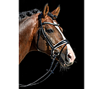 Crank Flash Bridle Classic